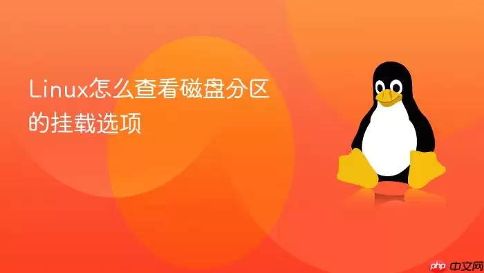 Linux怎么查看磁盘分区的挂载选项