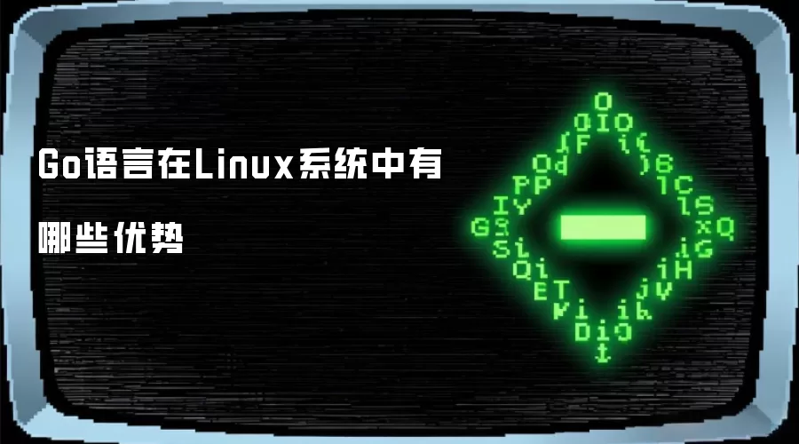 Go语言在Linux系统中有哪些优势