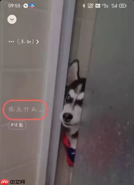 微信怎么弄动态背景图 微信朋友圈动态背景设置方法一览