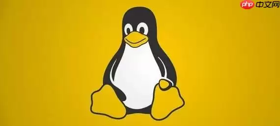 Linux如何进行系统安全风险扫描_Linux漏洞扫描实战操作