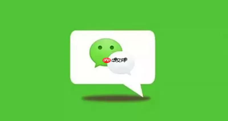 微信网页版免安装登录入口 微信电脑在线版入口