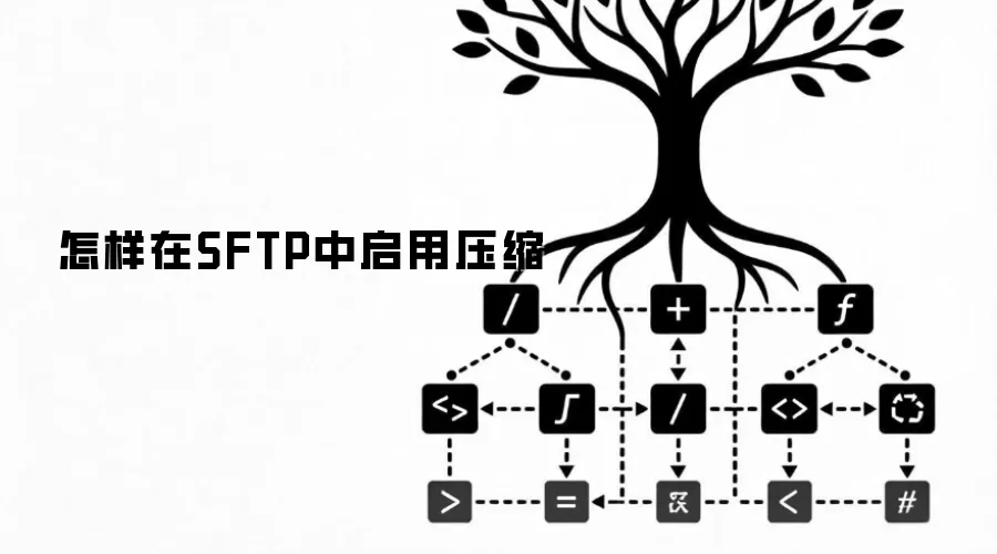 怎样在SFTP中启用压缩