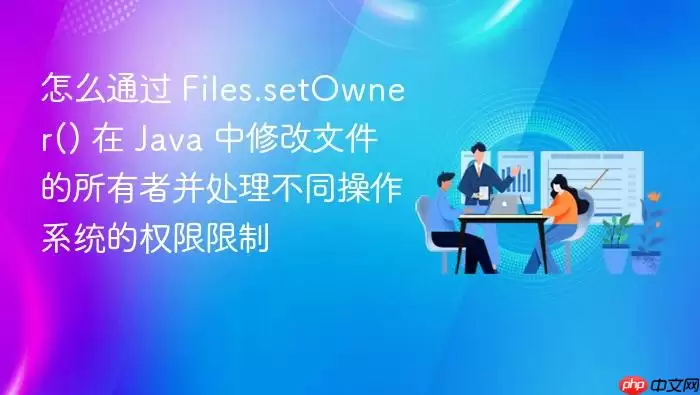 怎么通过 Files.setOwner() 在 Ja va 中修改文件的所有者并处理不同操作系统的权限限制