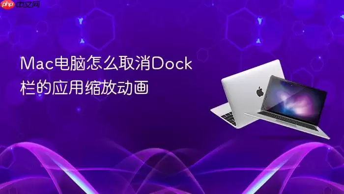 Mac电脑怎么取消Dock栏的应用缩放动画