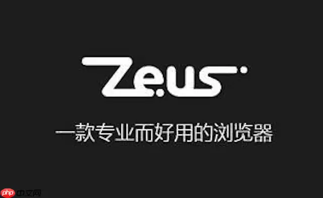 如何解决宙斯浏览器在上传大文件时出现的连接中断?