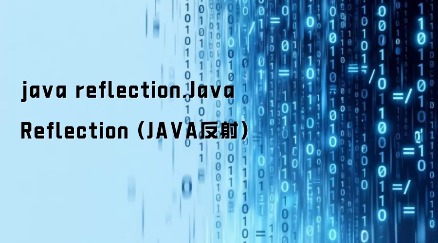 ja va reflection,Ja va Reflection (JA VA反射)