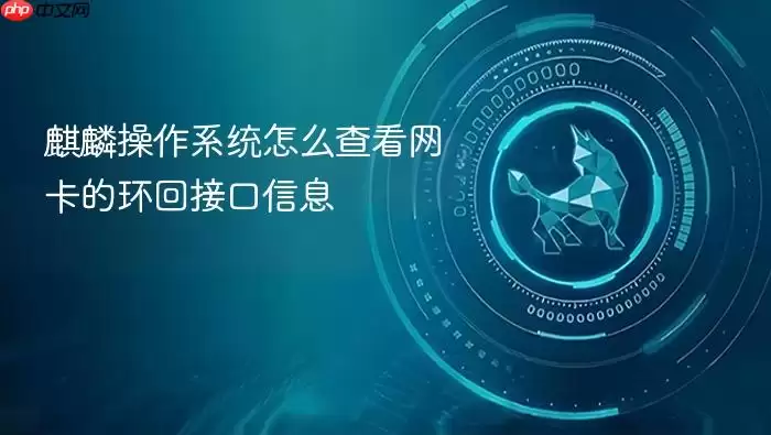 麒麟操作系统怎么查看网卡的环回接口信息