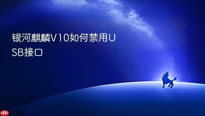 银河麒麟V10如何禁用USB接口