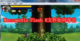 Macromedia Flash 8文件怎么导出