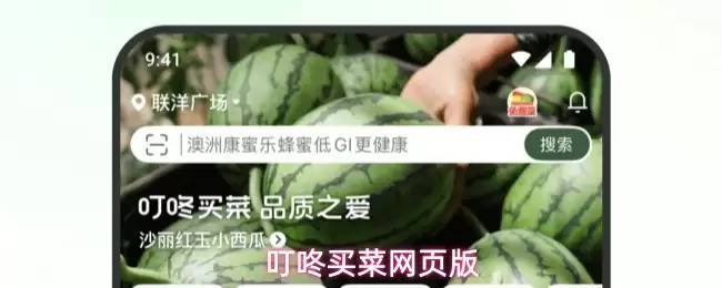 叮咚买菜网页版入口-叮咚买菜 app