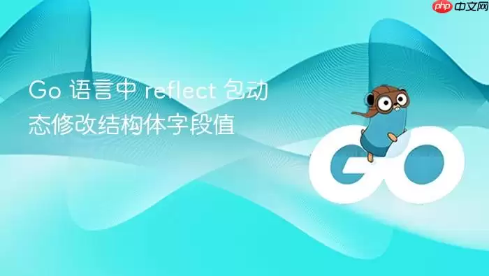 Go 语言中 reflect 包动态修改结构体字段值