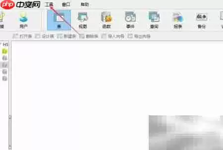 Navicat显示TEXT/BLOB字段技巧