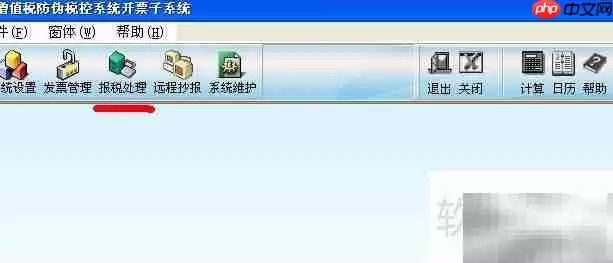 防伪开票报税操作指南
