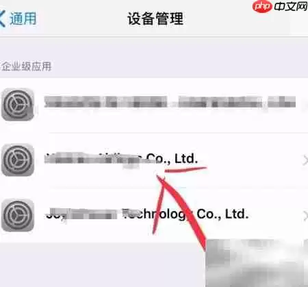 iPhone应用打不开?信任开发者