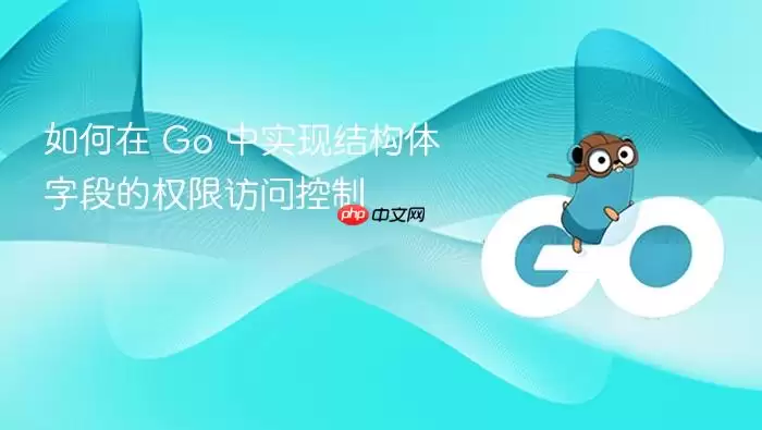 如何在 Go 中实现结构体字段的权限访问控制