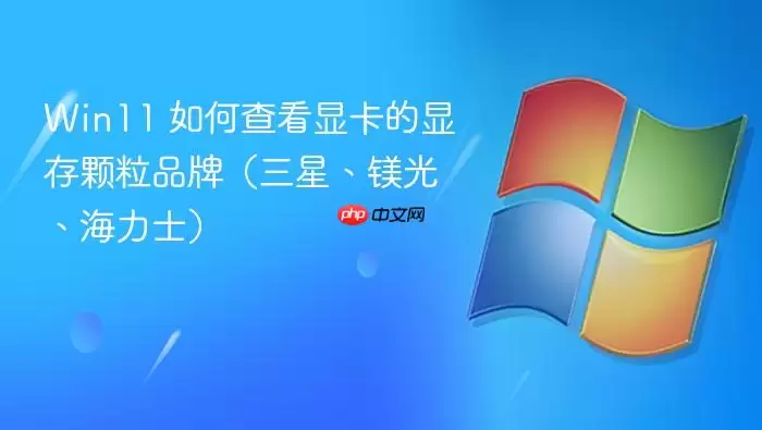 Win11 如何查看显卡的显存颗粒品牌(三星、镁光、海力士)