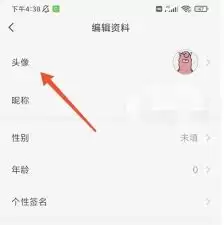 羊驼日语app如何进行登录