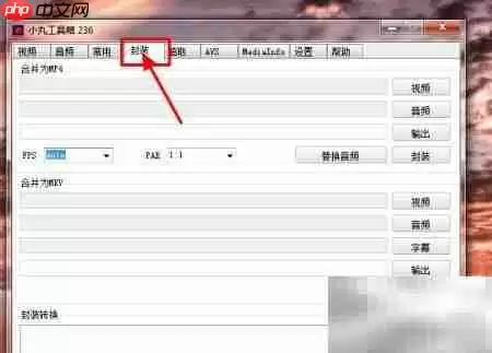 小丸工具箱无损转MP4技巧
