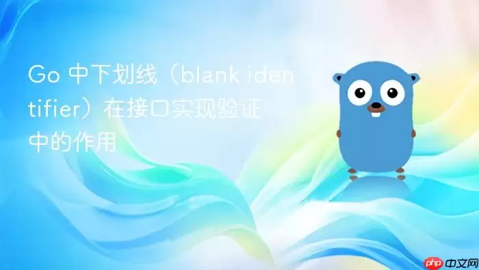 Go 中下划线（blank identifier）在接口实现验证中的作用