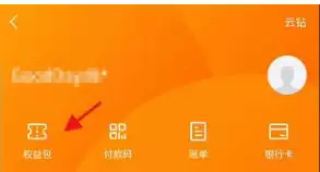 如何查看苏宁易购消费金
