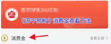 如何查看苏宁易购消费金