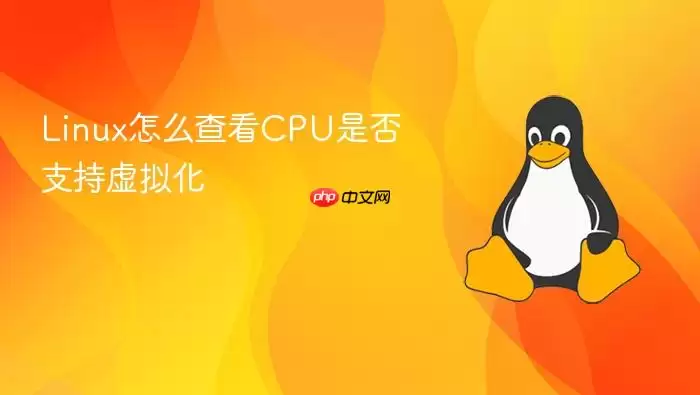 Linux怎么查看CPU是否支持虚拟化