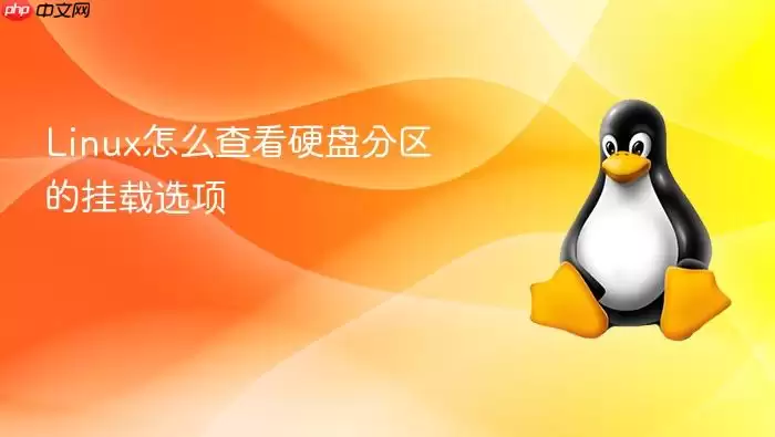 Linux怎么查看硬盘分区的挂载选项