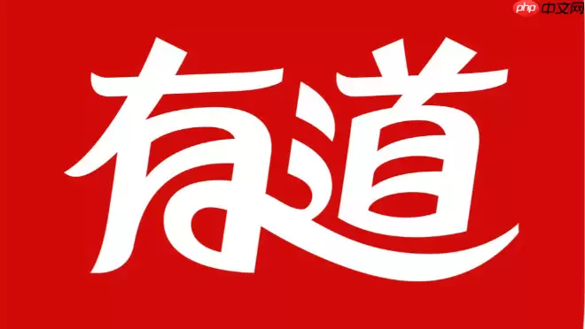 有道翻译界面示意