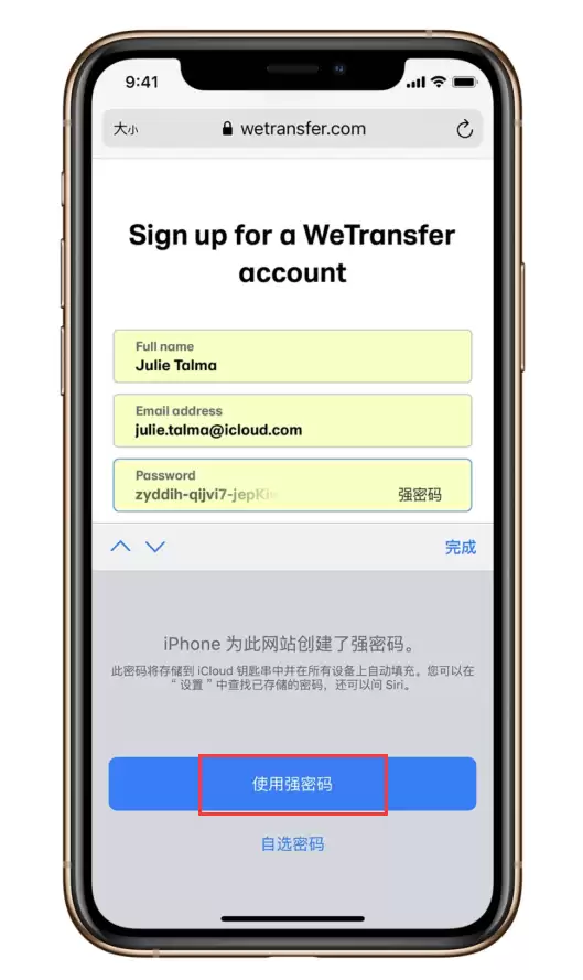 什么是“强密码”?如何在 iPhone 上创建和自动填充? 什么是“强密码”?如何在 iPhone 上创建和自动填充?