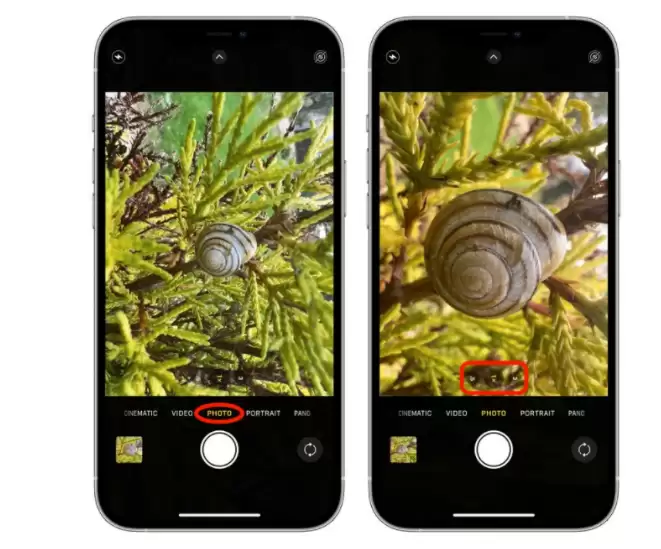 如何在 iPhone 13 Pro 系列中拍摄和控制微距照片和视频? 如何在 iPhone 13 Pro 系列中拍摄和控制微距照片和视频?