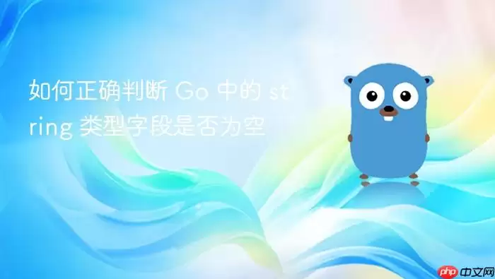如何正确判断 Go 中的 string 类型字段是否为空