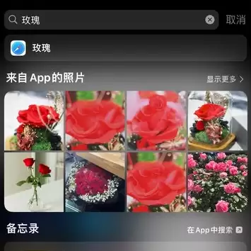 5 个 iPhone 小技巧:让拍摄和编辑照片更轻松 5 个 iPhone 小技巧:让拍摄和编辑照片更轻松