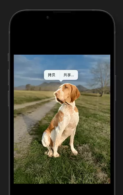 苹果官方推荐体验这些 iOS 16 新功能:精彩锁屏、一键抠图、实况文本等 苹果官方推荐体验这些 iOS 16 新功能:精彩锁屏、一键抠图、实况文本等