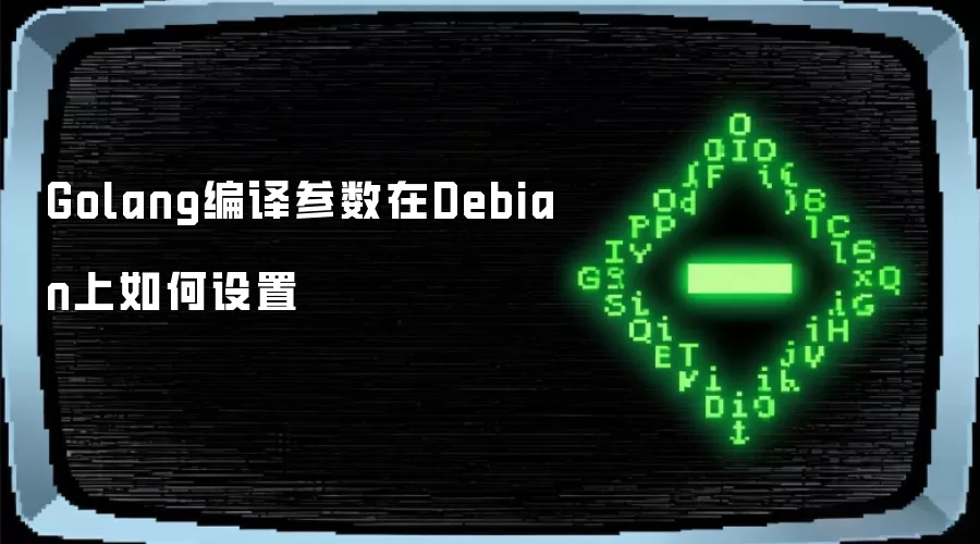 Golang编译参数在Debian上如何设置