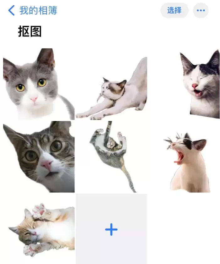 iPhone 14可以批量抠图吗?iOS16批量抠图方法 iPhone 14可以批量抠图吗?iOS16批量抠图方法