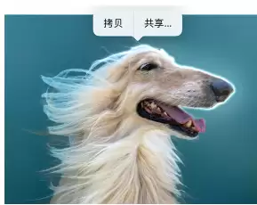 iPhone14 如何抠出有趣的图片并用 iMessage 分享给好友? iPhone14 如何抠出有趣的图片并用 iMessage 分享给好友?