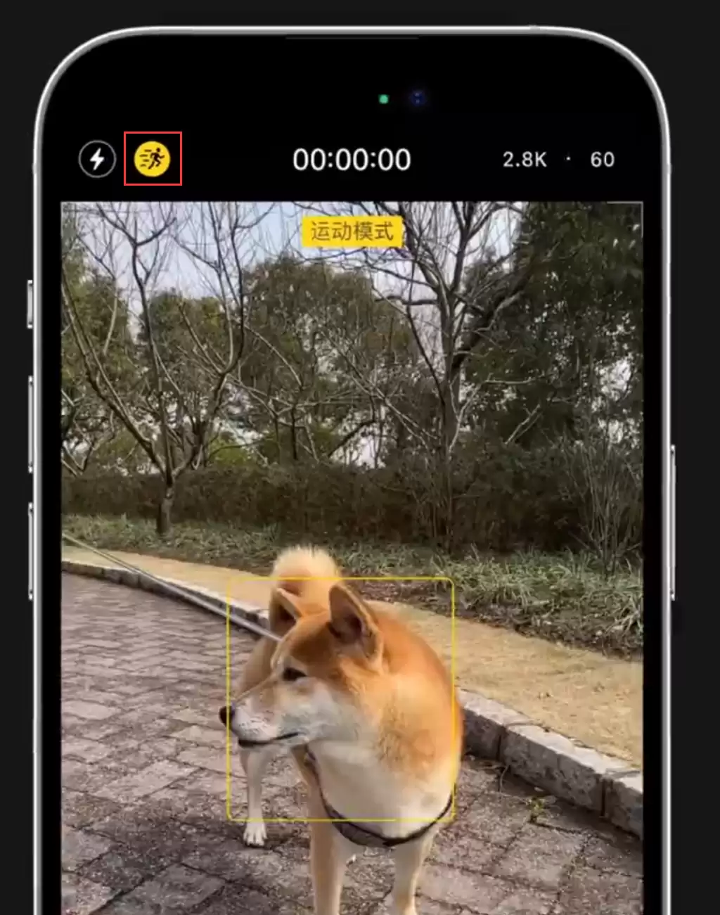 小技巧:在 iPhone 14 上手持拍摄也能保持画面稳定 小技巧:在 iPhone 14 上手持拍摄也能保持画面稳定