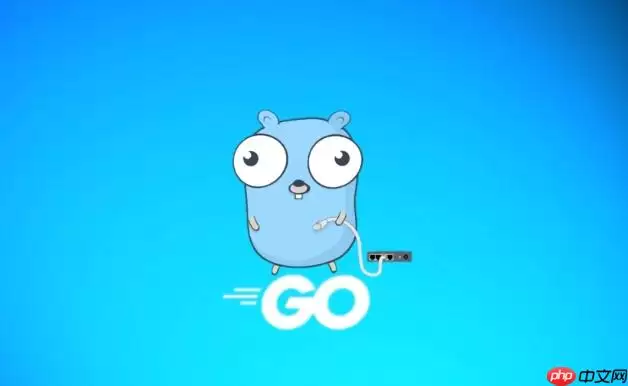 Go语言获取本地IP地址函数如何写_Go语言net.InterfaceAddrs【实战】