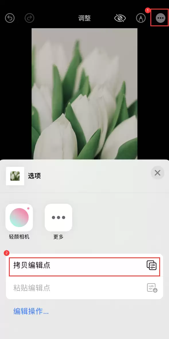如何在 iPhone 上为照片添加富士滤镜效果? 如何在 iPhone 上为照片添加富士滤镜效果?
