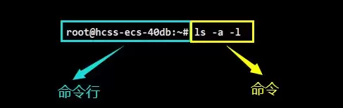 Linux命令行怎么用?shell外壳程序原理一看就懂