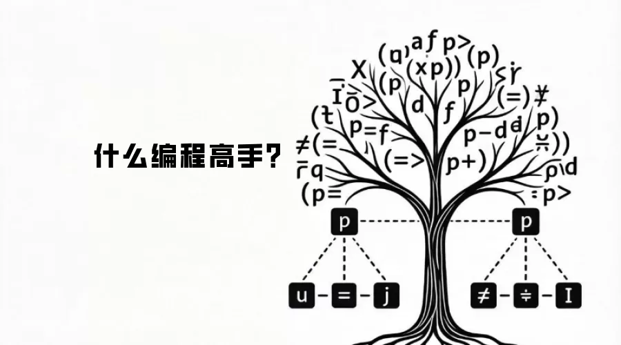 什么编程高手？