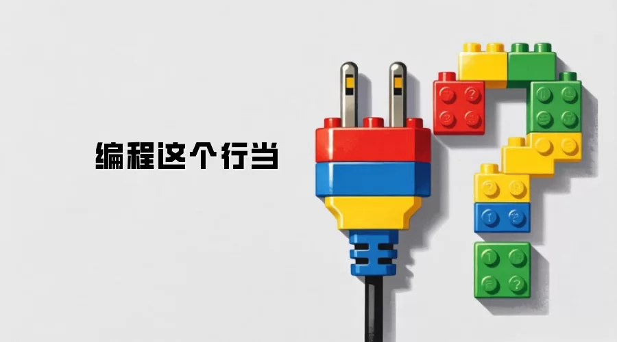 编程这个行当