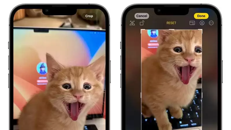 苹果 iOS 17 照片应用有哪些升级和改进? 苹果 iOS 17 照片应用有哪些升级和改进?