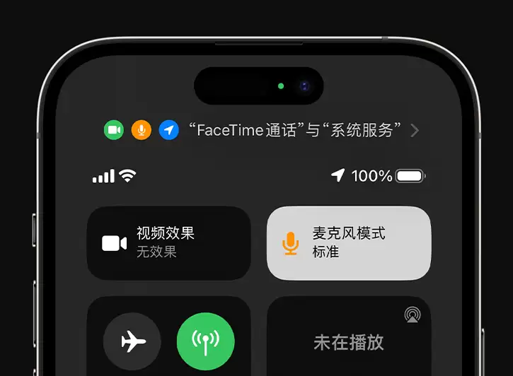 iPhone 小技巧:在通话时让你的声音更清晰 iPhone 小技巧:在通话时让你的声音更清晰