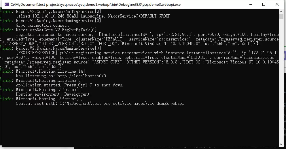 .net core如何使用Nacos注册中心