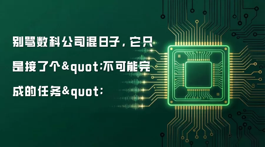 别骂数科公司混日子, 它只是接了个
