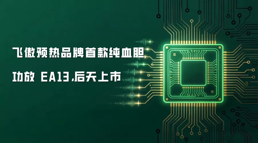 飞傲预热品牌首款纯血胆功放 EA13,后天上市