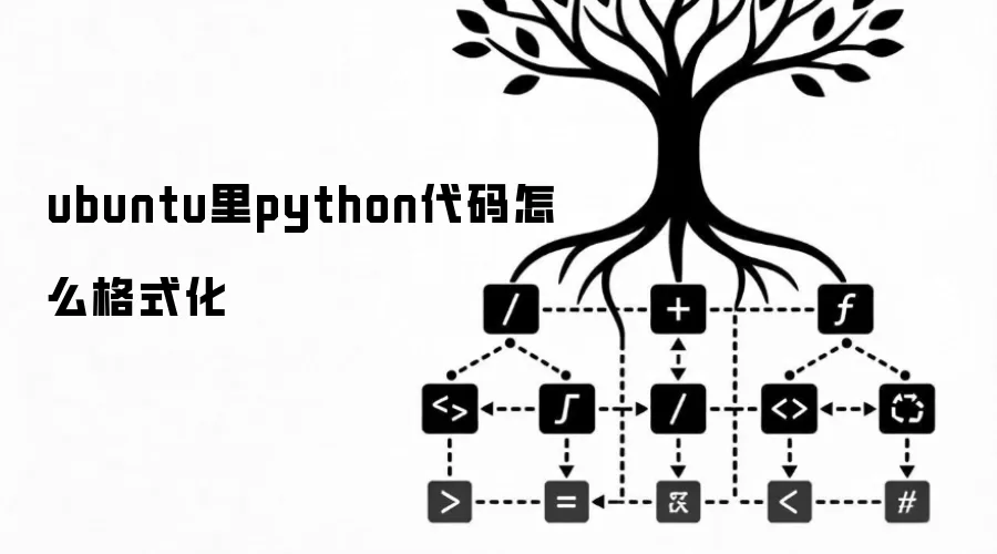 ubuntu里python代码怎么格式化
