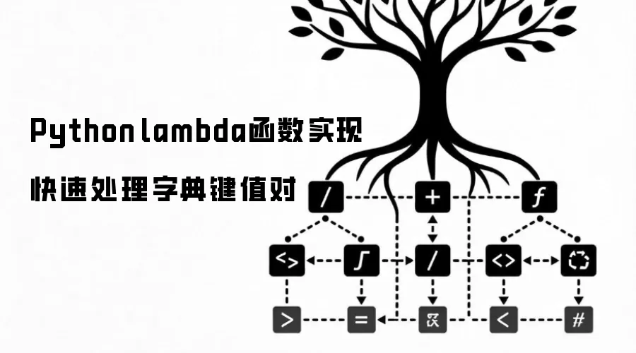 Python lambda函数实现快速处理字典键值对