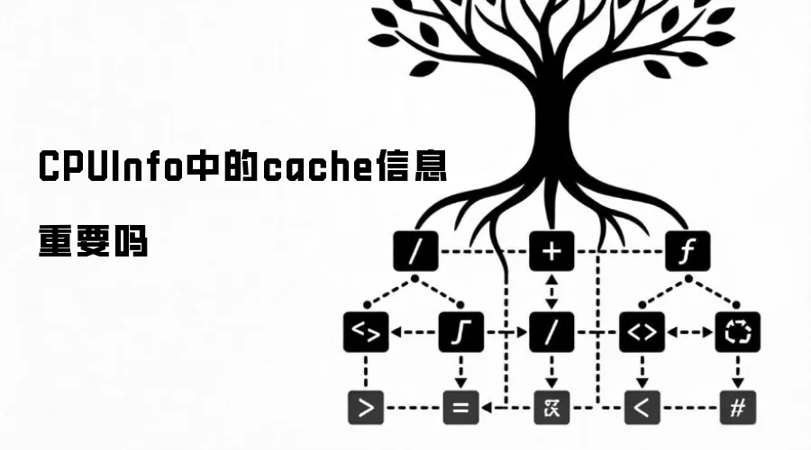 CPUInfo中的cache信息重要吗